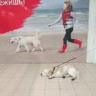 "и жизнь промелькнет"